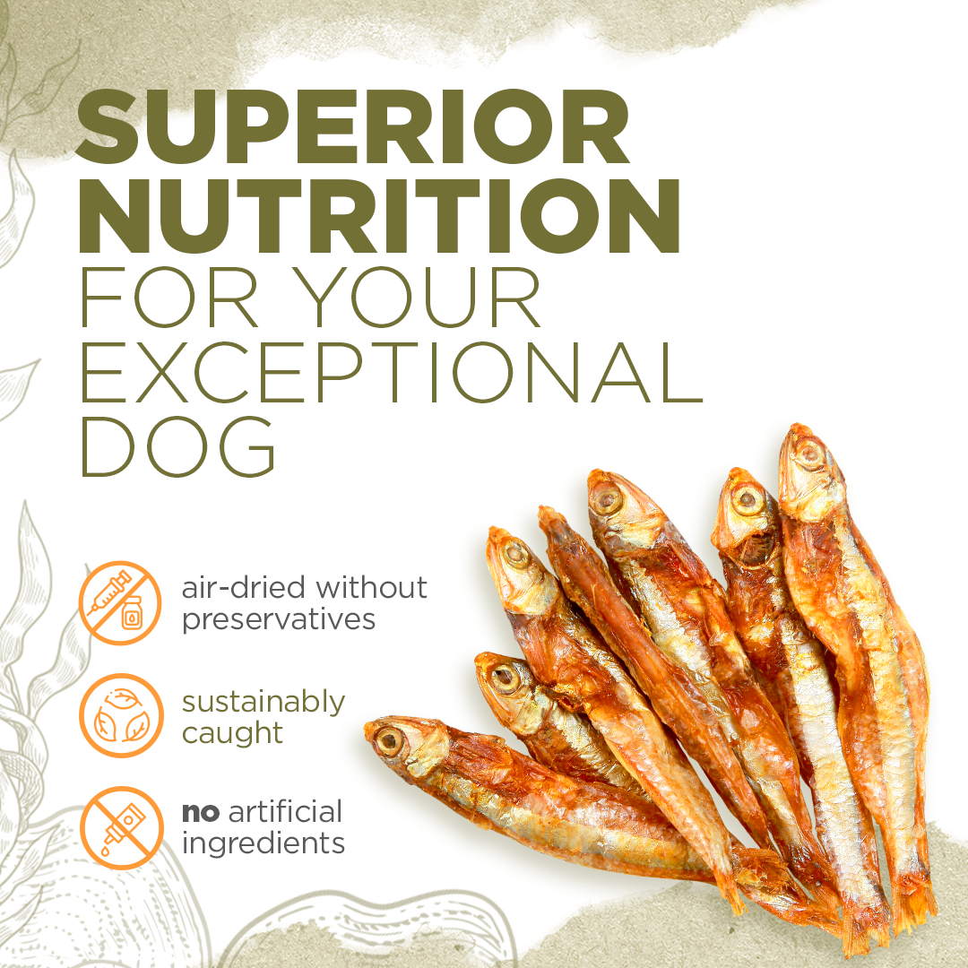 Superior nutrition dog clearance treats