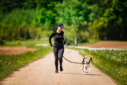 Can Bully Sticks Give Your Dog Diarrhea?