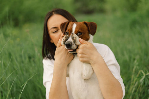 Which Dog Treats Are the Best?