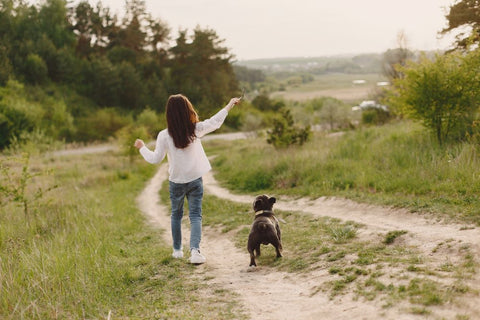 Which Dog Treats Are Best for Training?