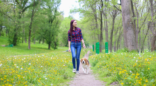 A Guide to Safely Walking Your Dog in the Heat