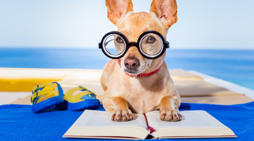 The Best Pet-Themed Beach Reads This Summer