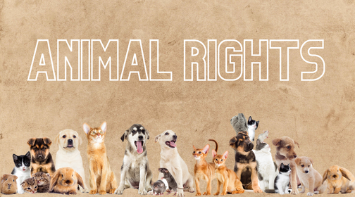 What to Know About Animal Rights Day | How to Give Back for Animal Rights Day — Natural Farm