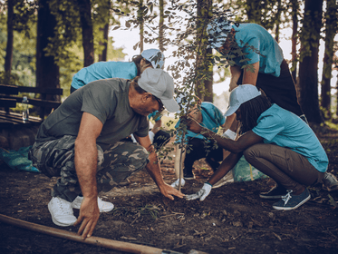 Planting Trees: A Better World for You and Your Dog