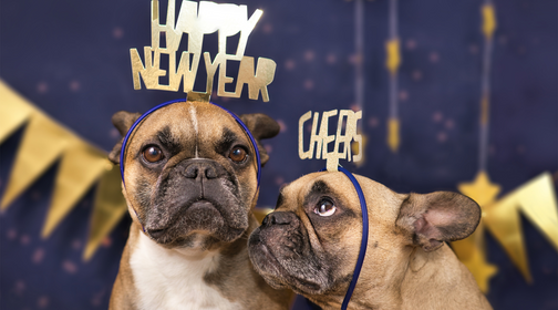 New Year’s Resolutions for Dogs and Their Owners | Top New Year’s Resolutions for Dog Owners — Natural Farm