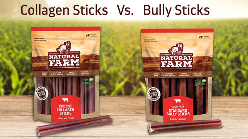 Collagen Sticks Vs. Bully Sticks: Which is Best for Your Dog?