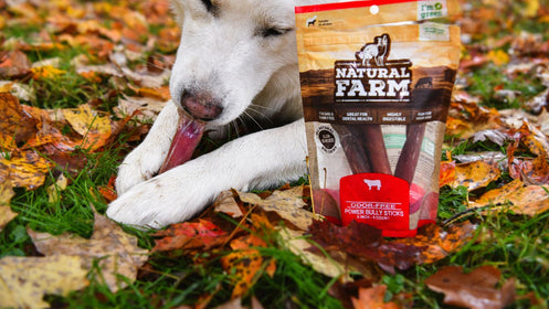 What Are Power Bully Sticks — Natural Farm