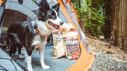 bully sticks natural farm