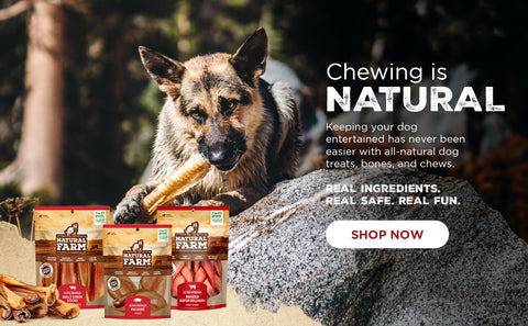 All Natural Dog Treats Shop Natural Dog Chews Dog Bones More