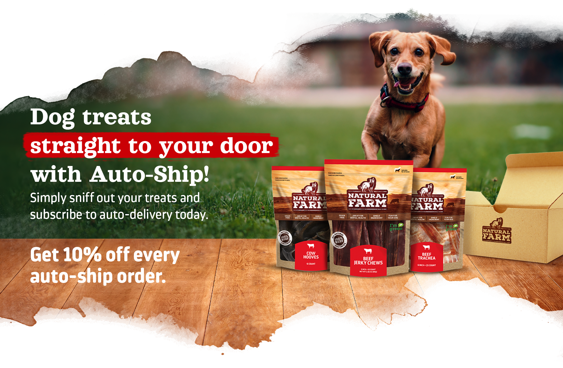 Natural dog food clearance delivery